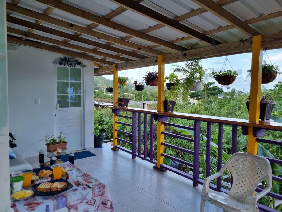 Cedar Valley Homestay Franshua