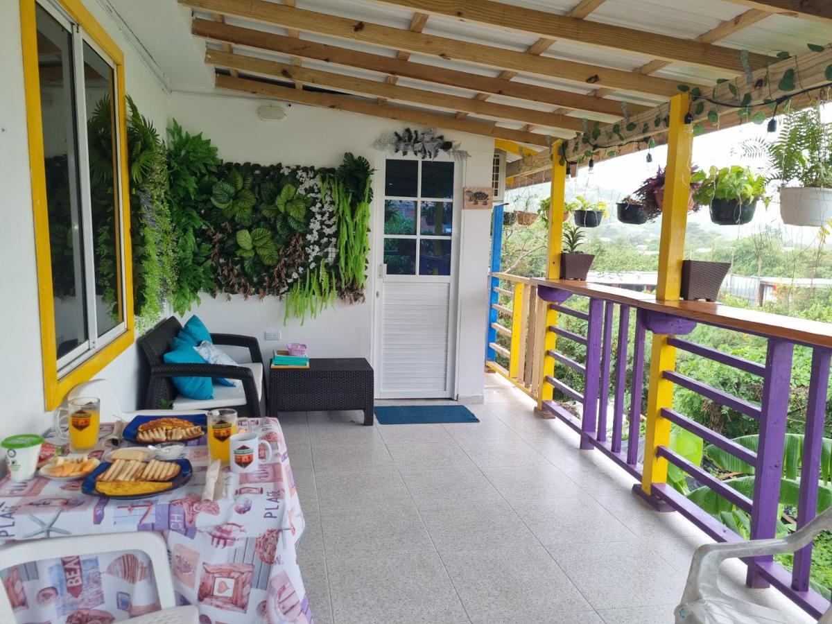 Homestay Cedar Valley *