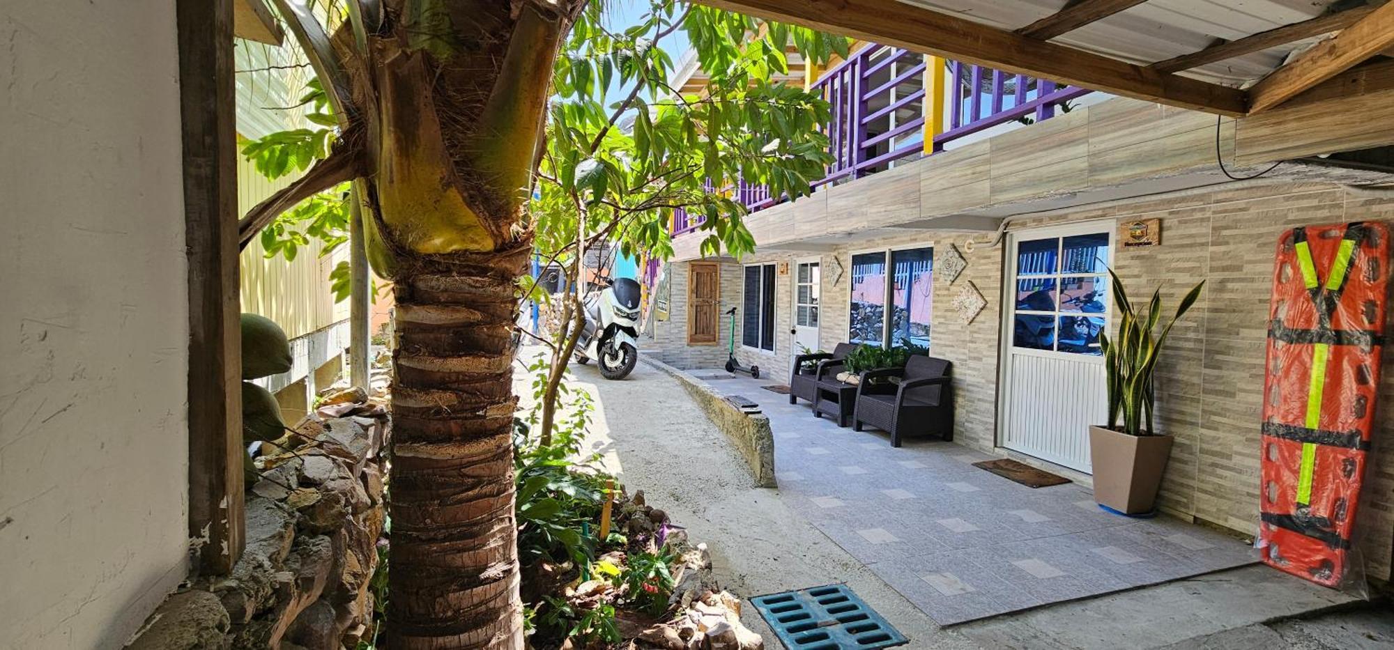 Homestay Cedar Valley *